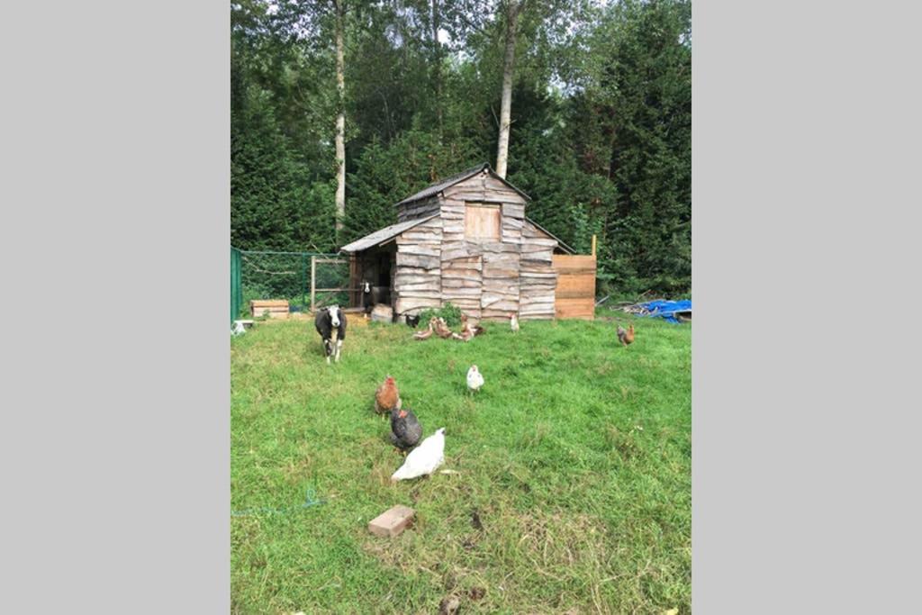 Cozy Studio On A Quaint Farm Apartment Kruibeke Exterior photo